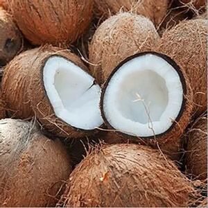 Husk Coconut