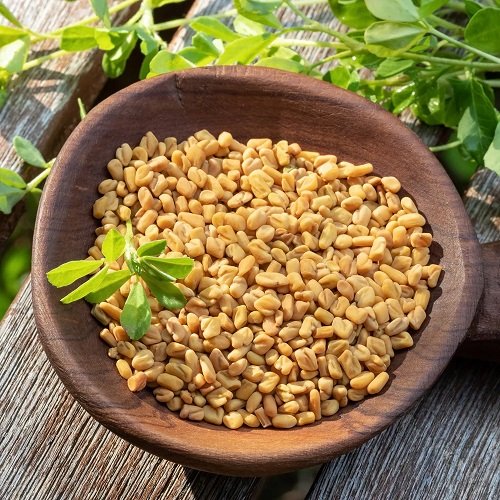 Fenugreek Seed